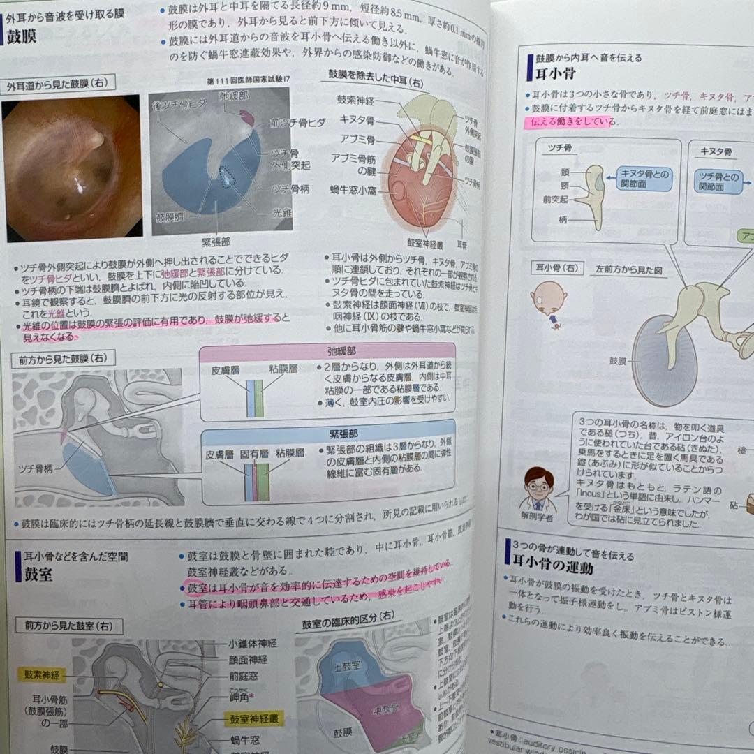 病気がみえる vol.1-15 15冊セット