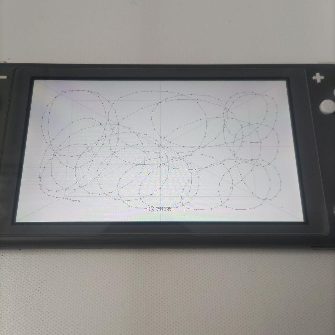 【良品】Nintendo Switch Lite 本体 GLAY