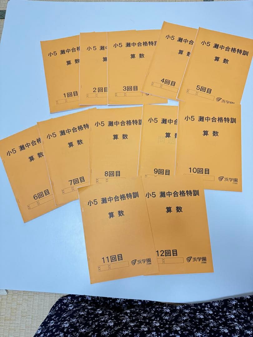 【灘校】小５　灘中合格特訓　算数　浜学園　12冊セット