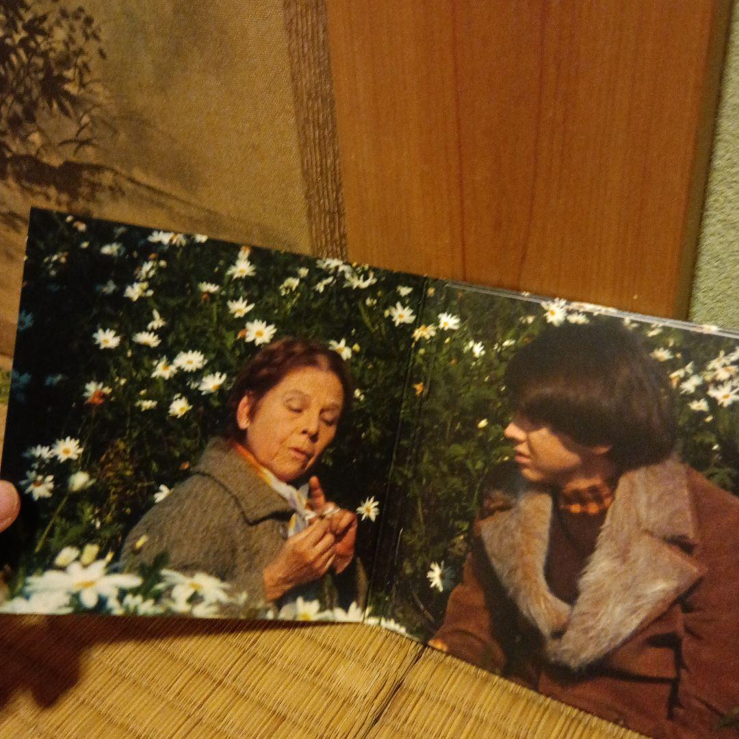Harold and Maude CAT STEVENS ハロルドとモード CD