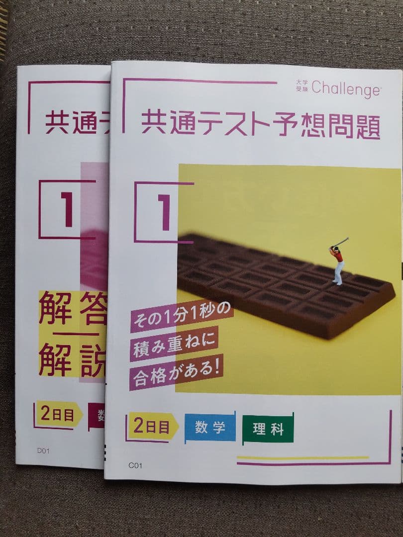 進研ゼミ 共通テスト予想問題集２０２２年版 解答解説付き⭐️未使用