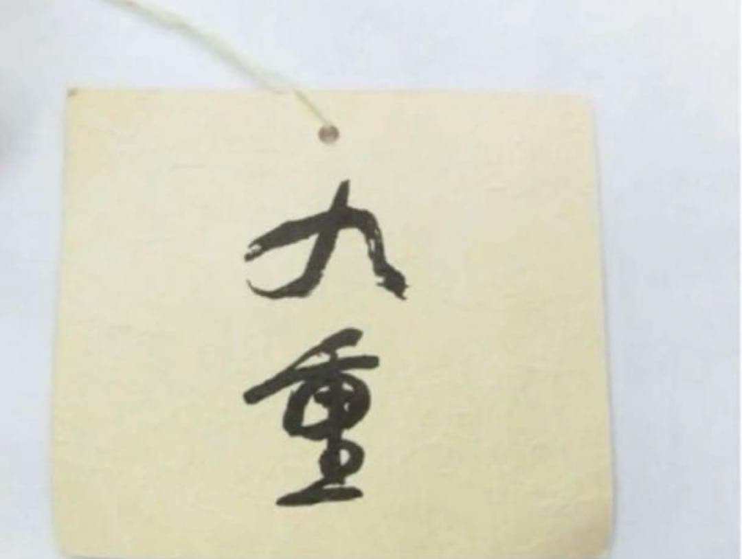 九重　振袖　新品未使用