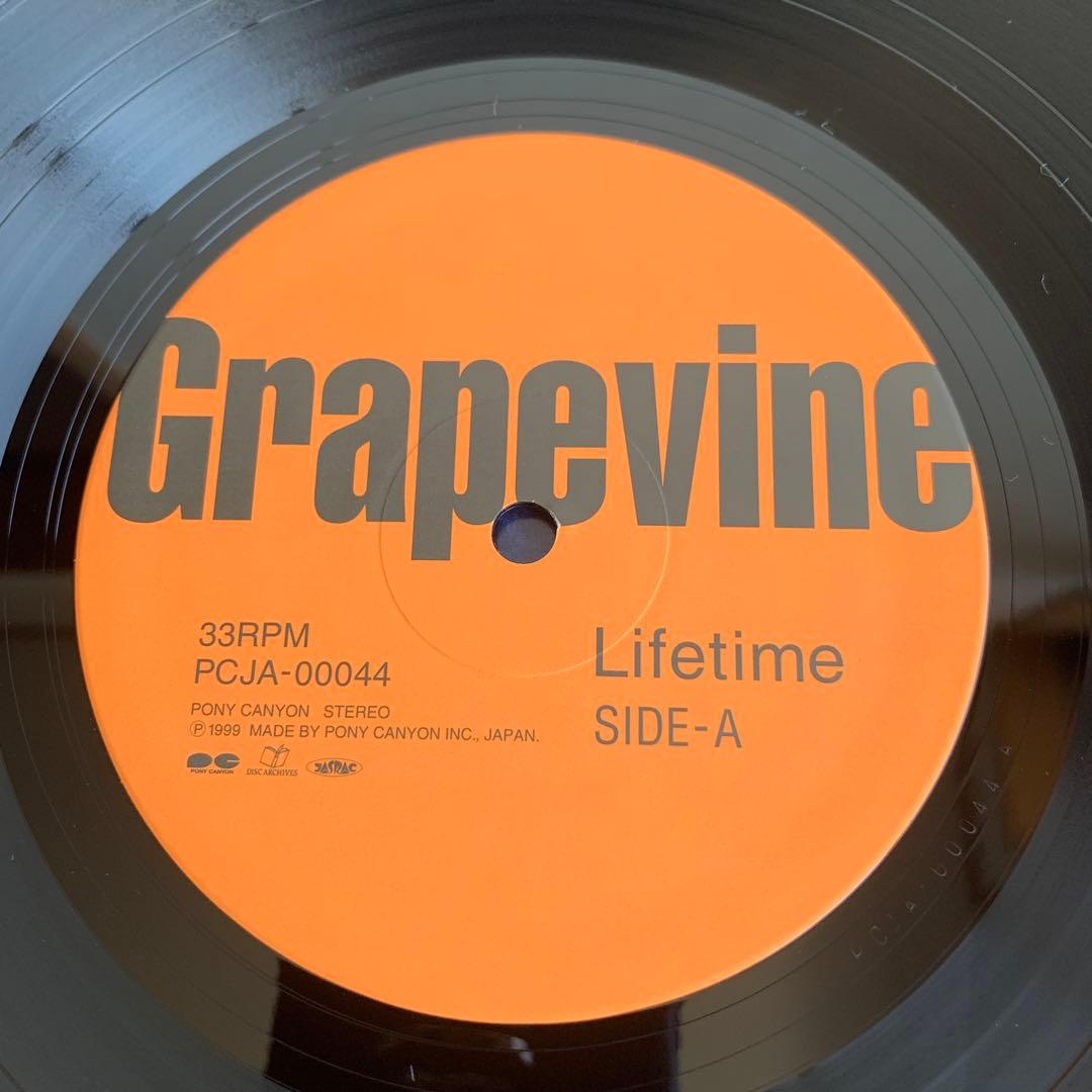 GRAPEVINE/LIFETIME LPレコード