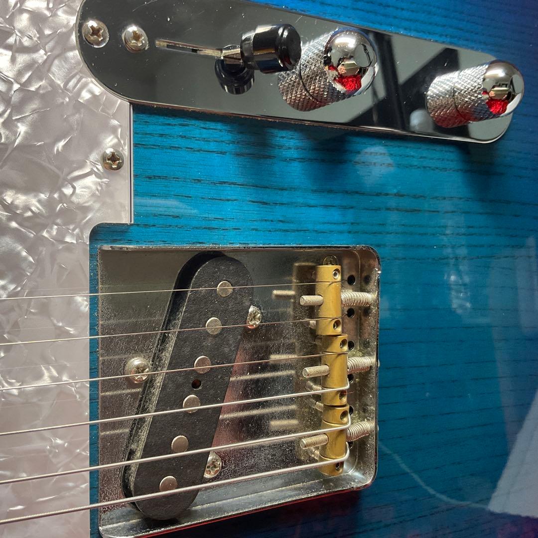 ギター FGN (Fujigen) NTL10MAH SBB