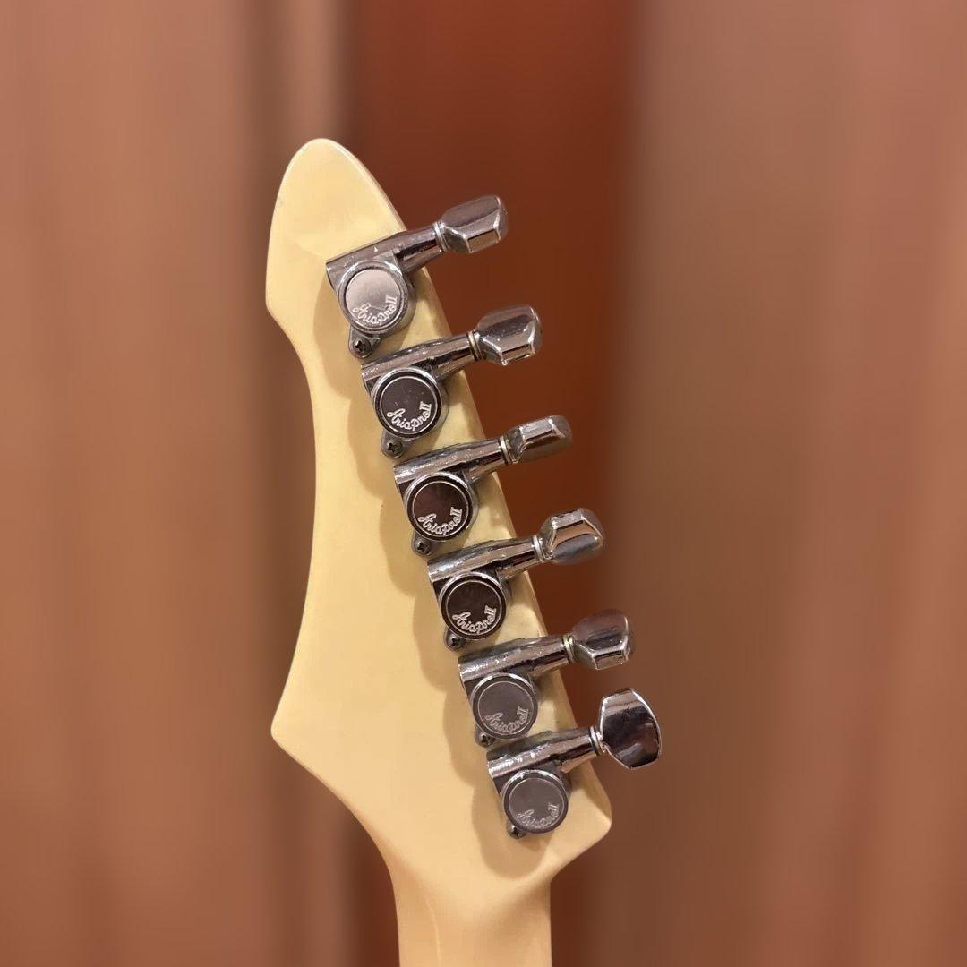 【Kenさん専用】Aria Pro II RS Wildcat アーム付 新品弦