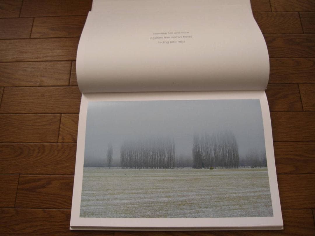 LIGHT MOODS SOUTH  小松幹直 Mikinobu Komatsu
