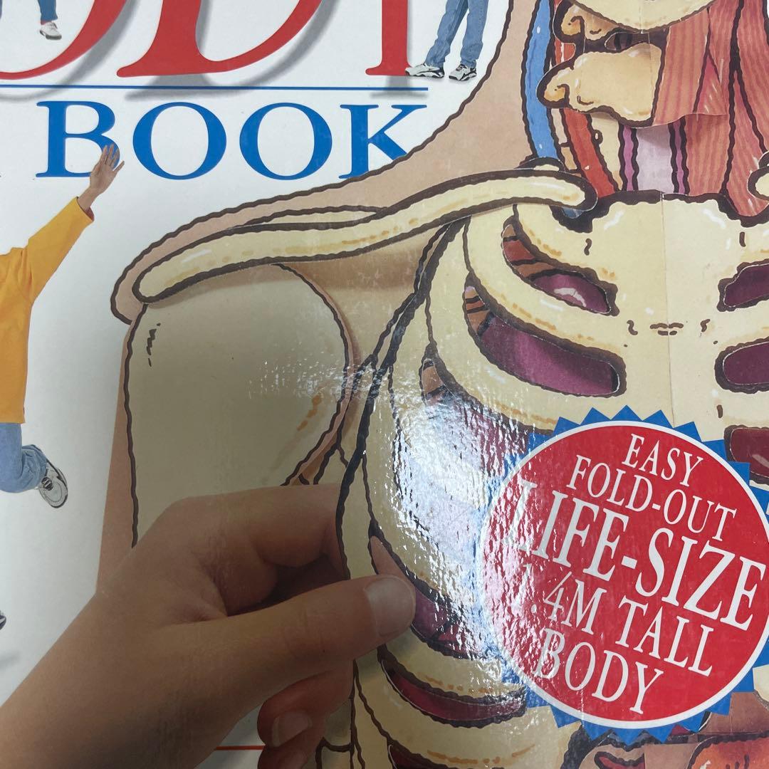 絵本　THE AMAZING PULL-OUT POP-UP