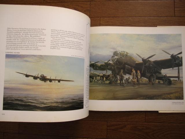 アート・デザイン・音楽 AIR COMBAT PAINTINGS OF ROBERT TAYLOR