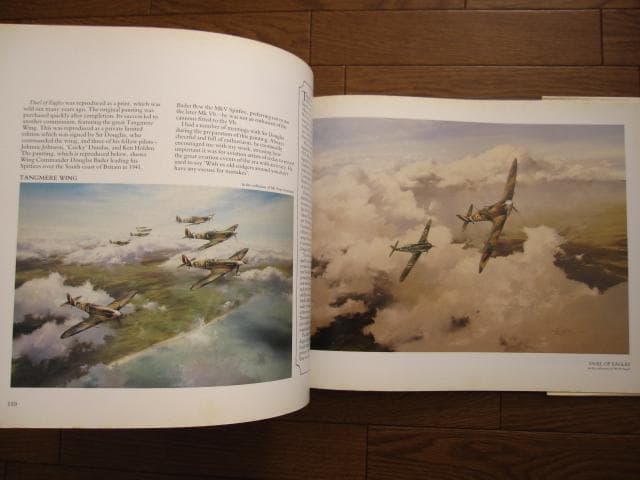 アート・デザイン・音楽 AIR COMBAT PAINTINGS OF ROBERT TAYLOR