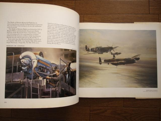 アート・デザイン・音楽 AIR COMBAT PAINTINGS OF ROBERT TAYLOR