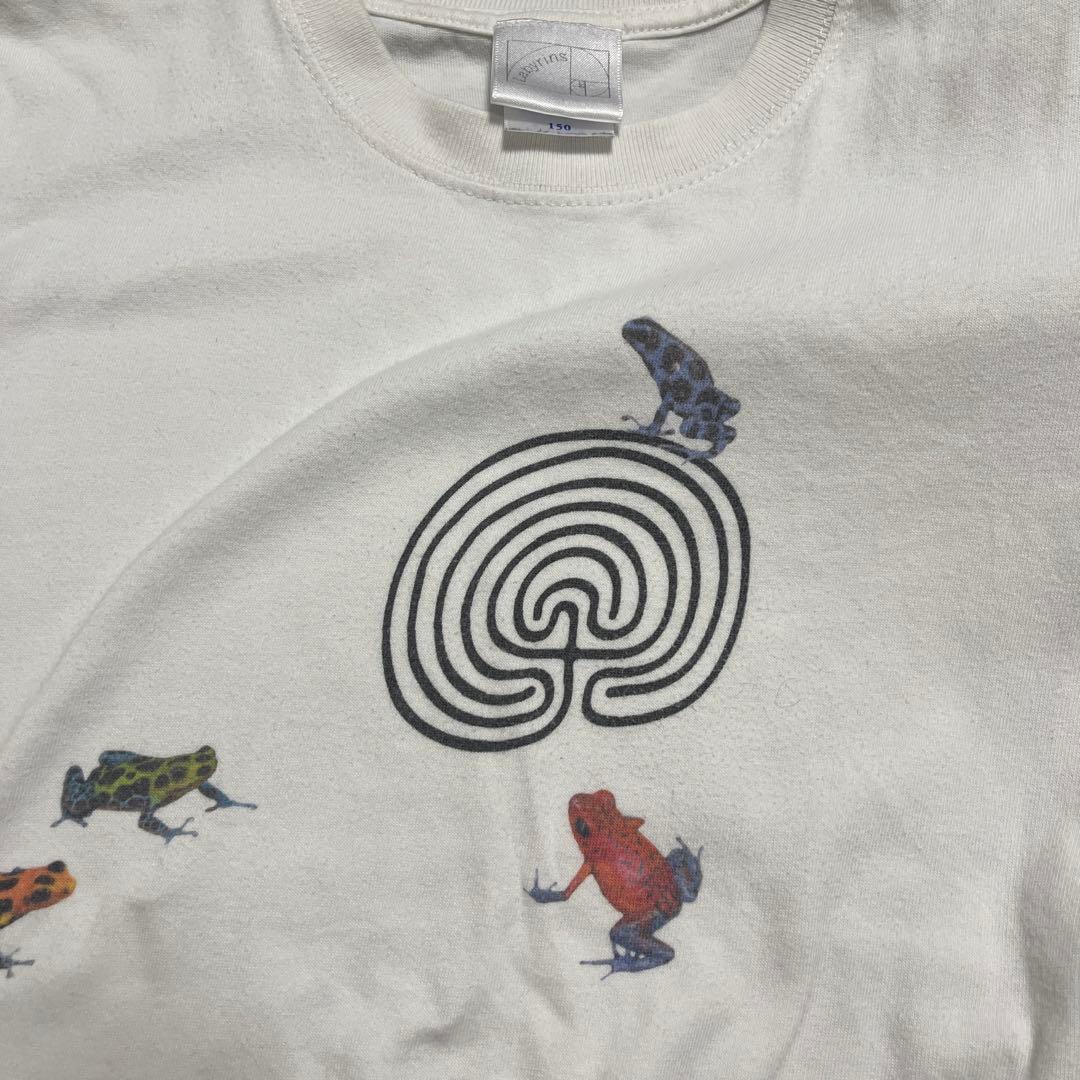 shury カエルtシャツ