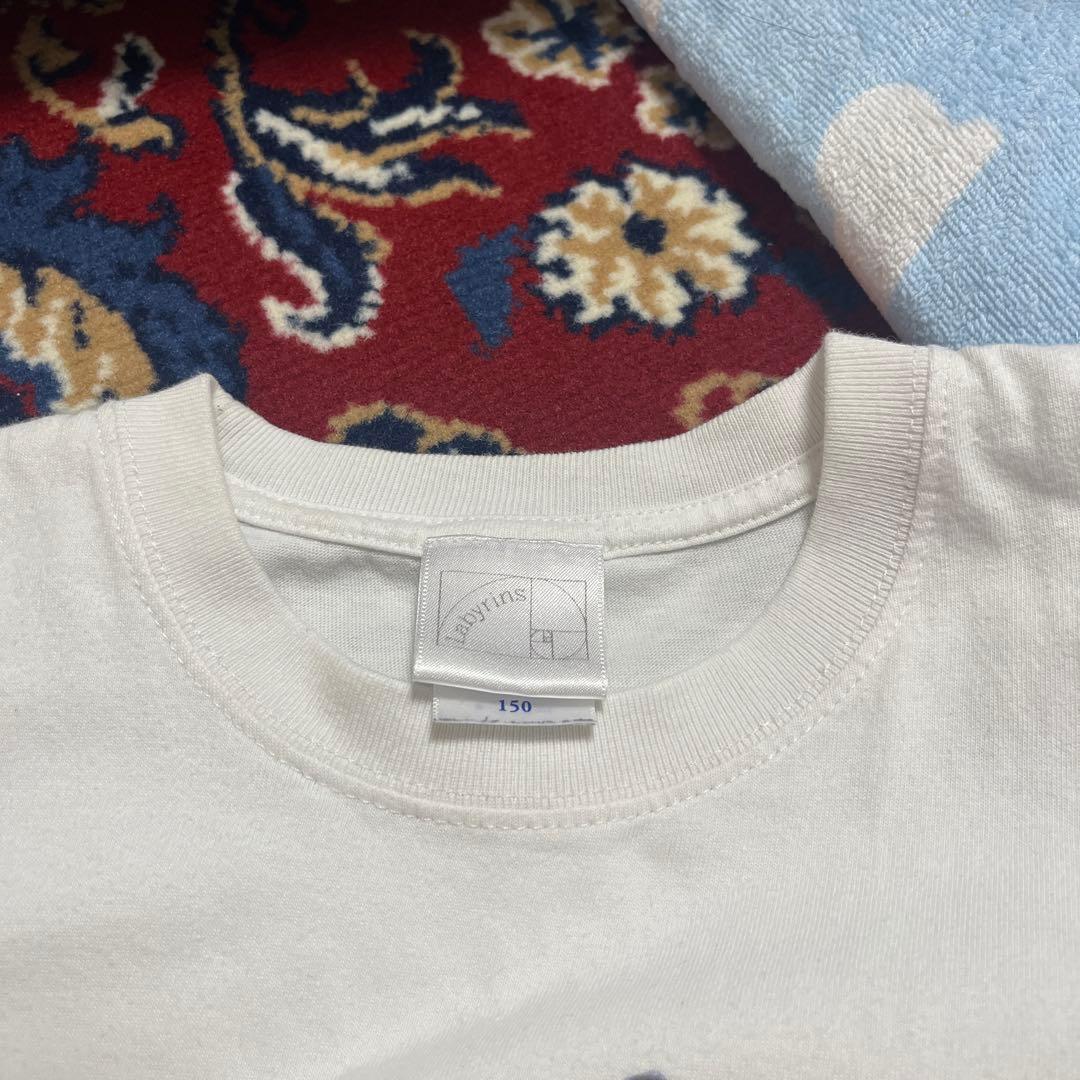 shury カエルtシャツ