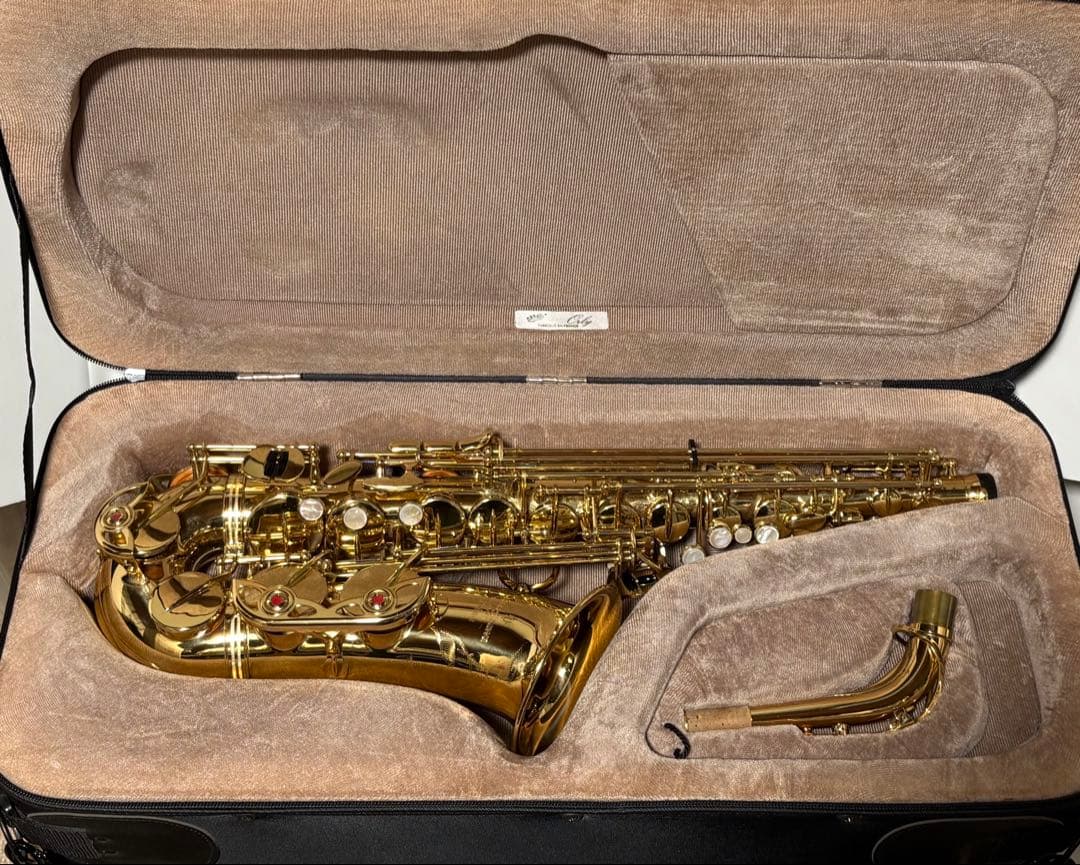 Yanagisawa アルトサックスA-900μ