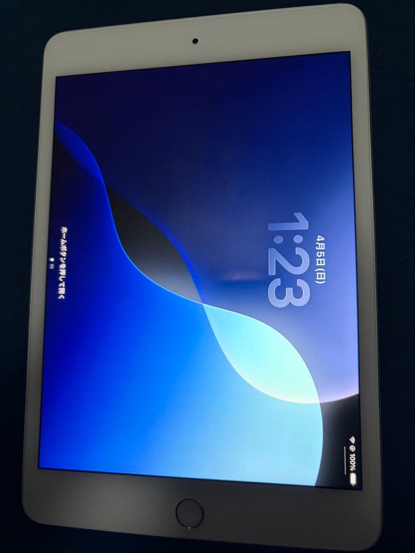 Apple ipad mini(第5世代) wi-fi 64GB+α