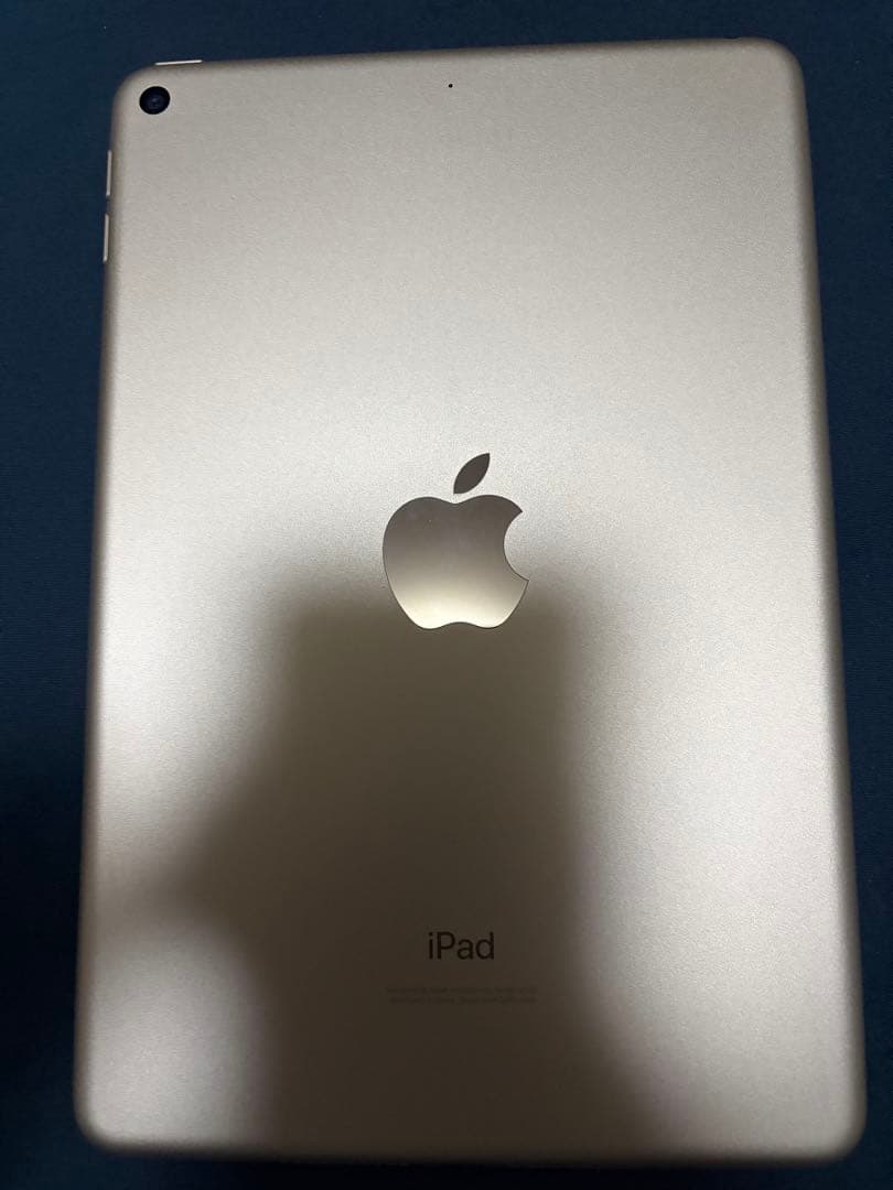Apple ipad mini(第5世代) wi-fi 64GB+α