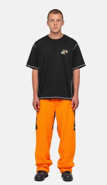 貴重なSTUSSY×MOUNTAIN HARDWEARコラボTシャツ!!