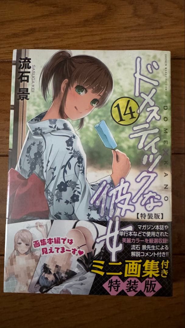 ドメスティックな彼女　特装版
