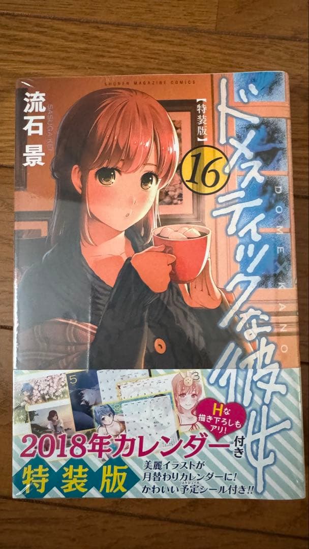 ドメスティックな彼女　特装版