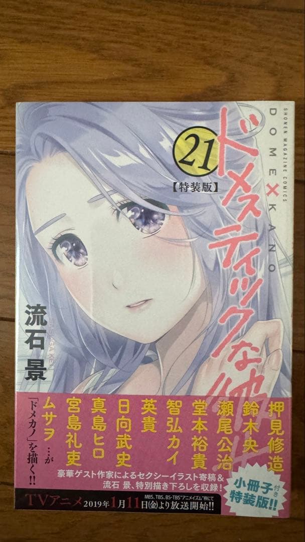 ドメスティックな彼女　特装版