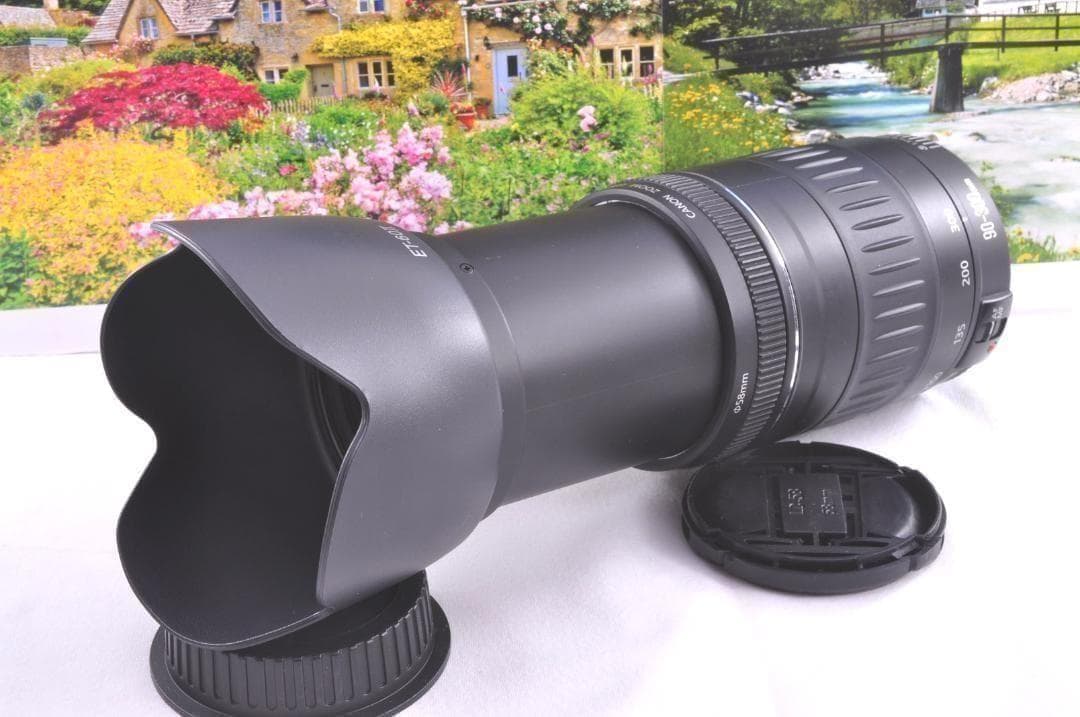 キャノン Canon EF 90-300mm F4.5-5.6 望遠レンズ