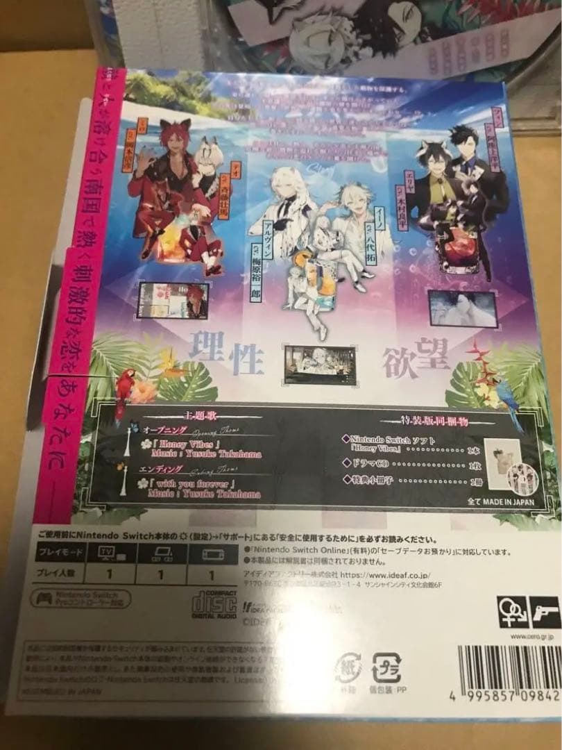 Switch Honey Vibes 特装版　ハニーヴァイブス