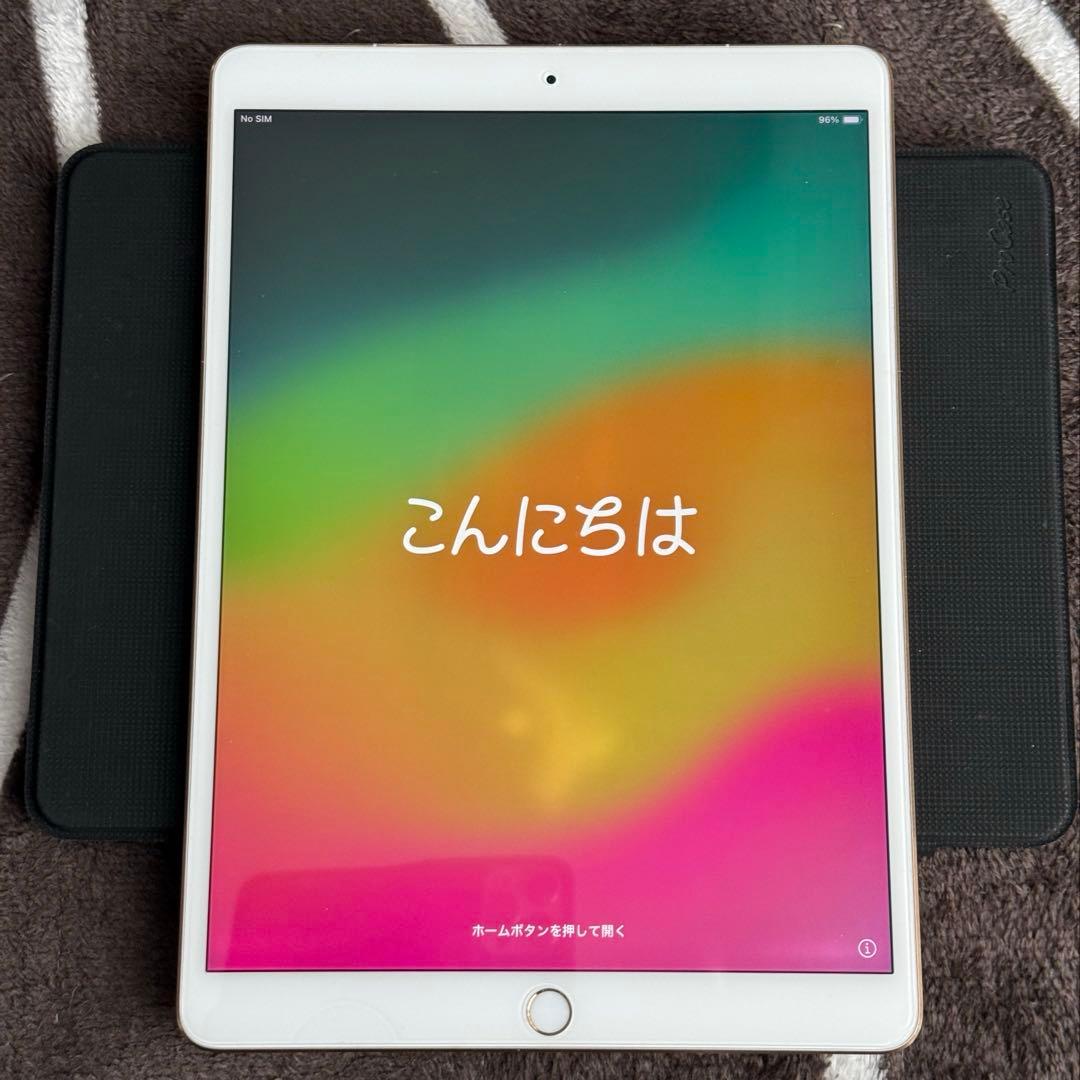 iPad Pro 10.5 256GB Cellular SIMフリー