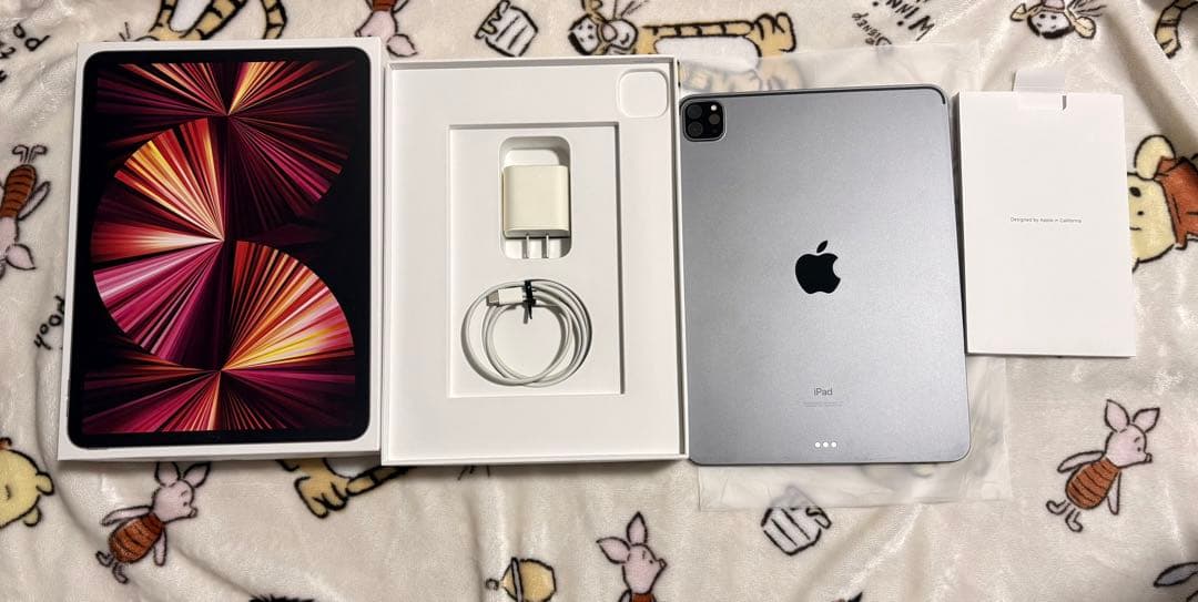 iPad Pro 11インチ 256GB 第3世代 WiFi スペースグレー