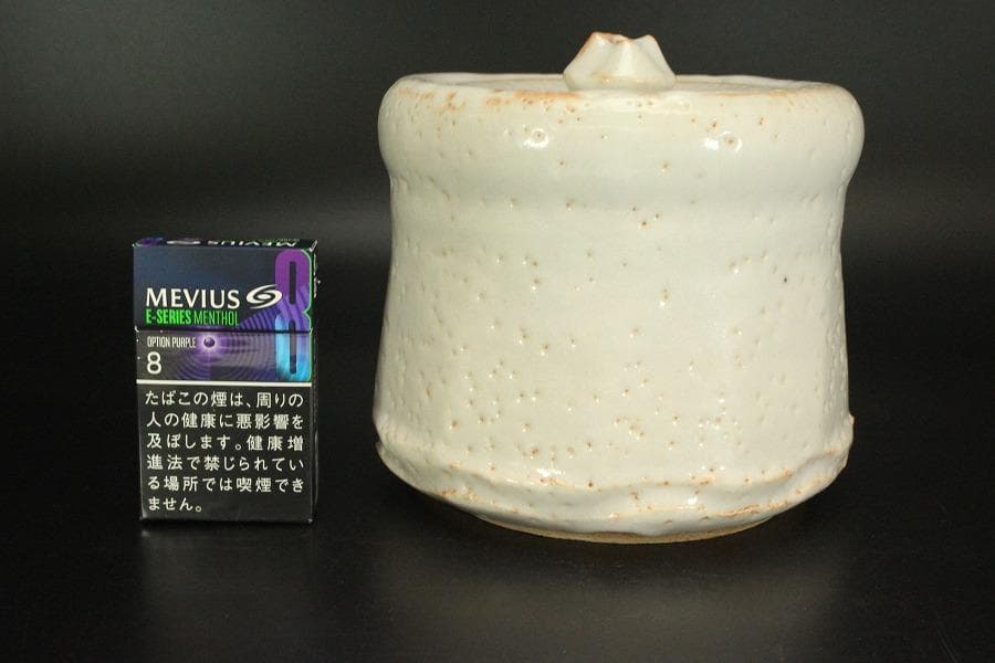 茶道具 志野 水指 健峰作 共箱 未使用(LC846)