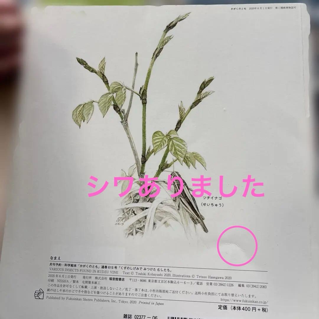 月刊かがくのとも　絵本シリーズ 全24冊