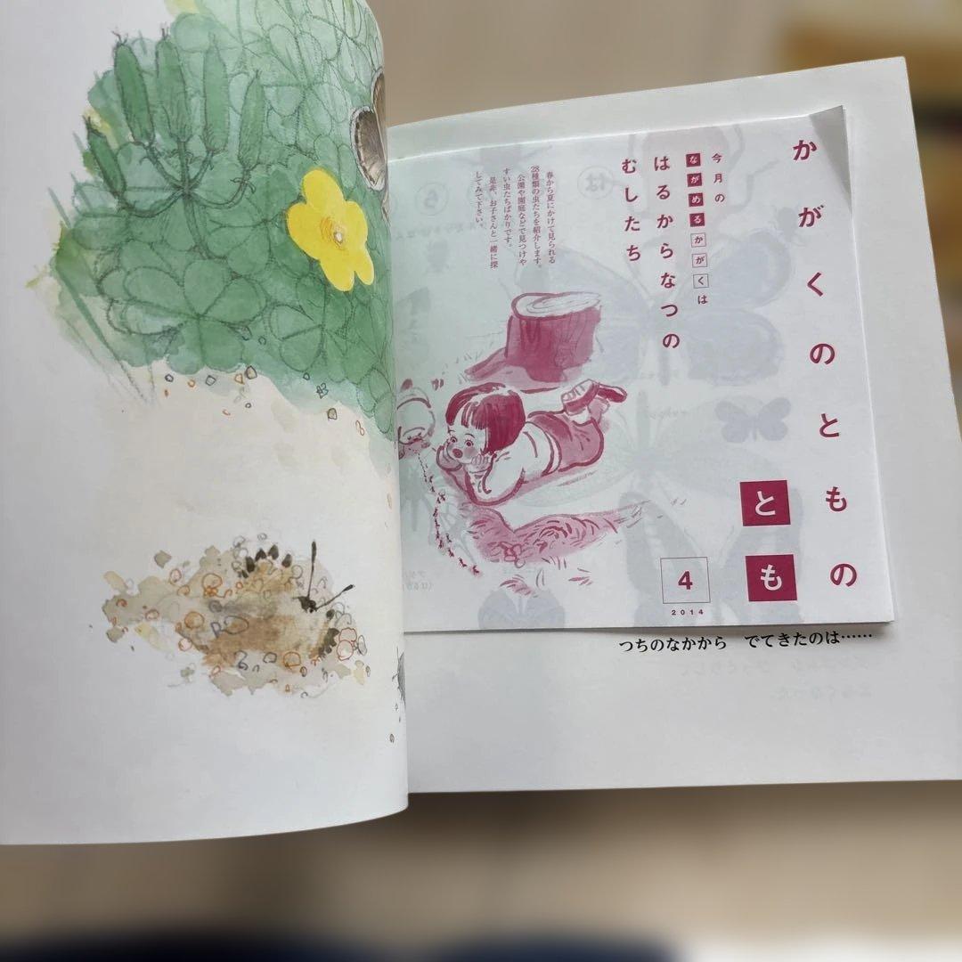 月刊かがくのとも　絵本シリーズ 全24冊