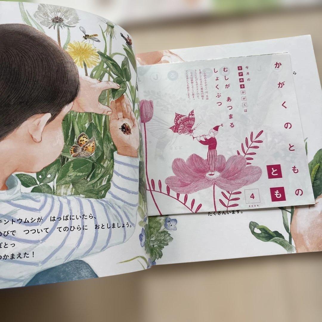 月刊かがくのとも　絵本シリーズ 全24冊