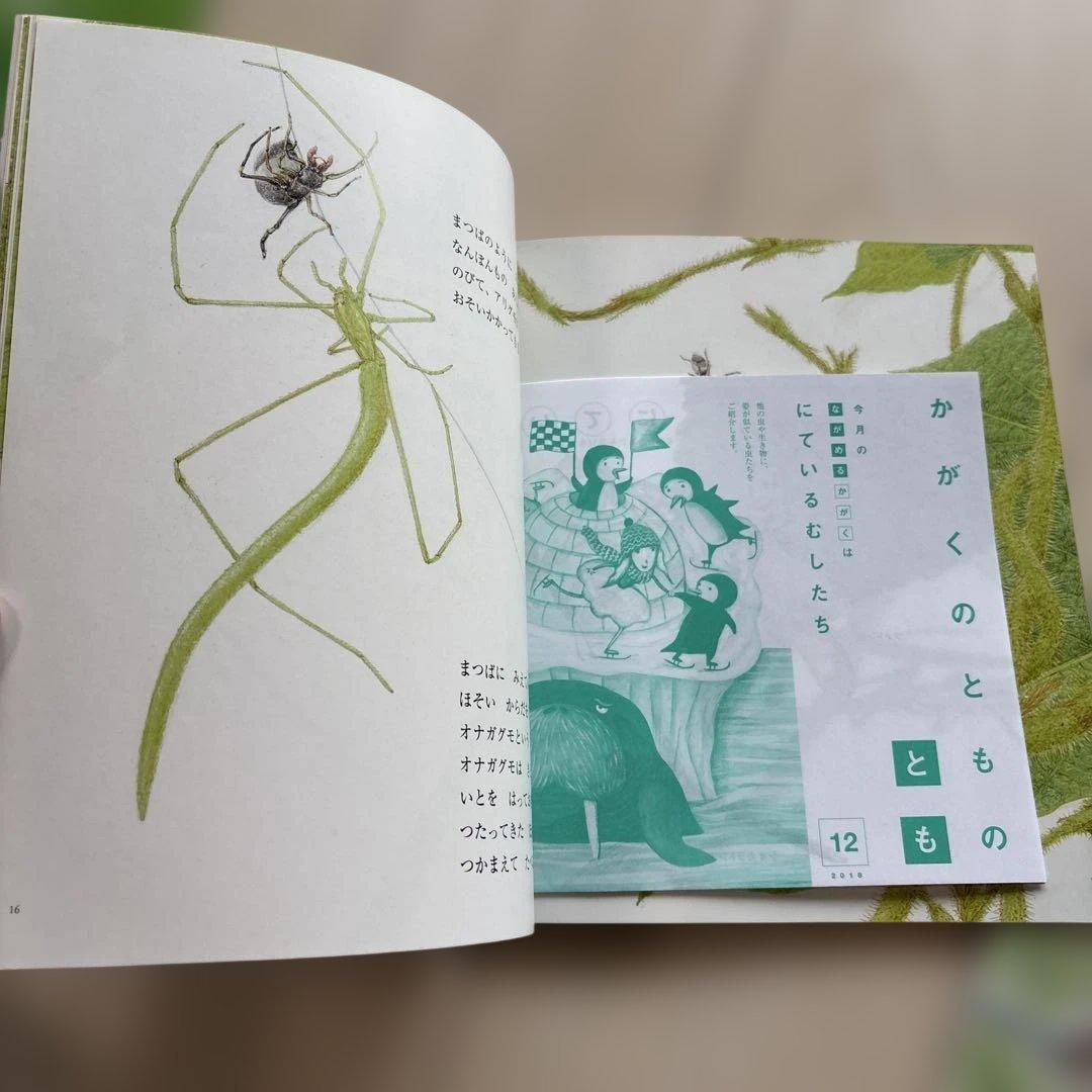 月刊かがくのとも　絵本シリーズ 全24冊