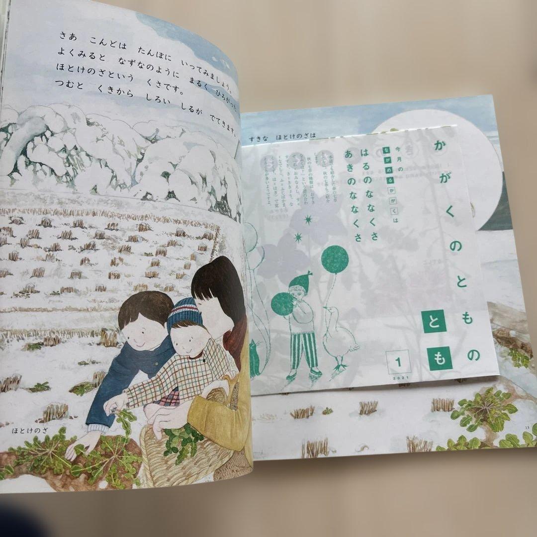 月刊かがくのとも　絵本シリーズ 全24冊