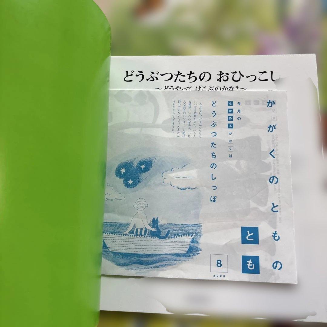 月刊かがくのとも　絵本シリーズ 全24冊
