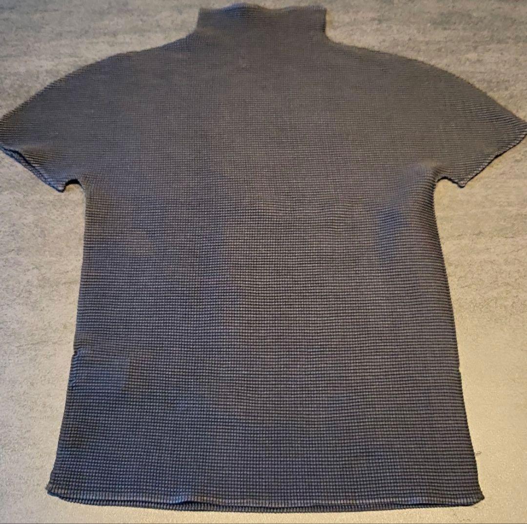 ISSEY MIYAKE(イッセイミヤケ)カットソー　チョウ柄　ハイネック