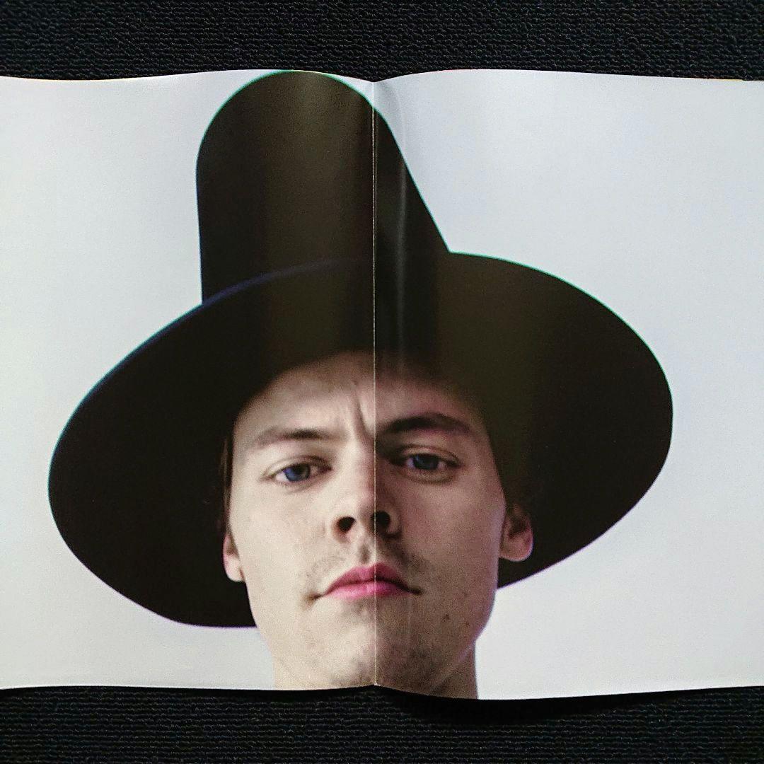 Harry Styles – Fine Line・2019 Eu, 2 x LP