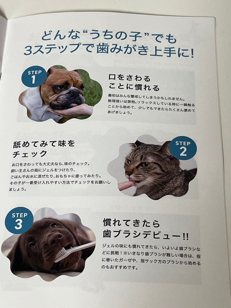 CLEAN WAN 犬・猫用口腔ジェル 3本＆歯ブラシ＆スタートブックセット