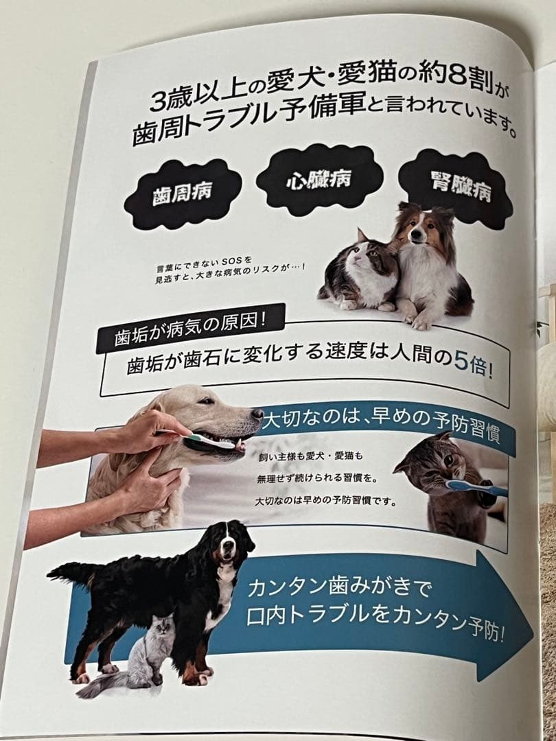 CLEAN WAN 犬・猫用口腔ジェル 3本＆歯ブラシ＆スタートブックセット