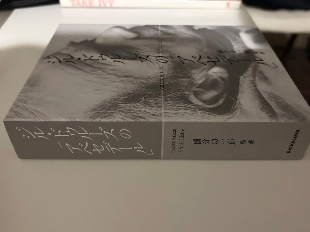 ジル・ドゥルーズの「アベセデール」 L'abécédaire de Gille…