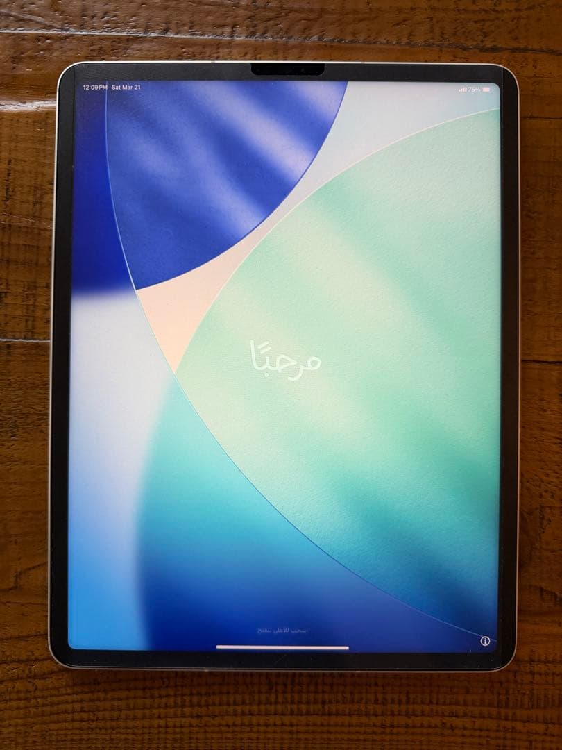 【tomo】iPadPro12.9 Wi-Fi+Cellular付属品