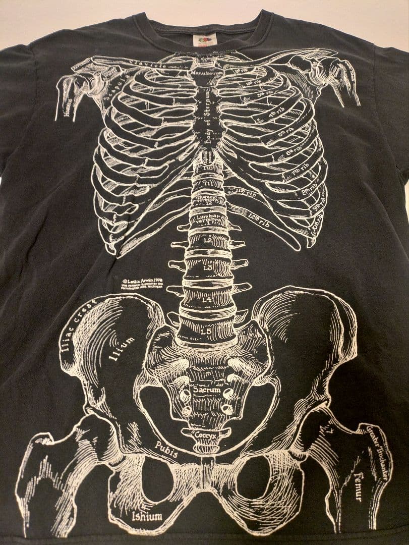 Leslie Arwin Skeleton tシャツ L