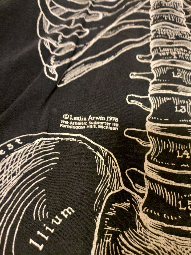 Leslie Arwin Skeleton tシャツ L