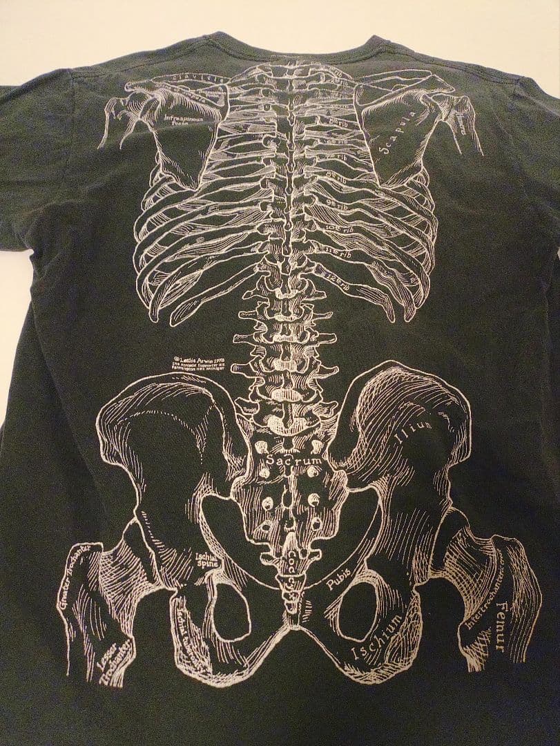 Leslie Arwin Skeleton tシャツ L