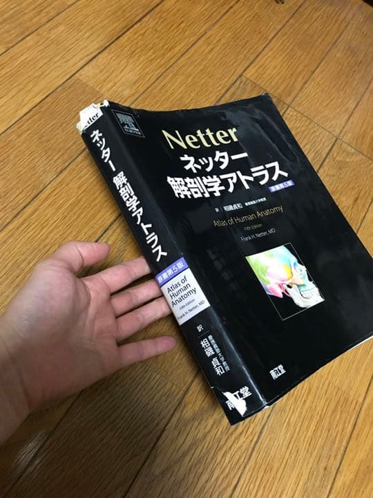 ネッター 解剖学アトラス 第5版