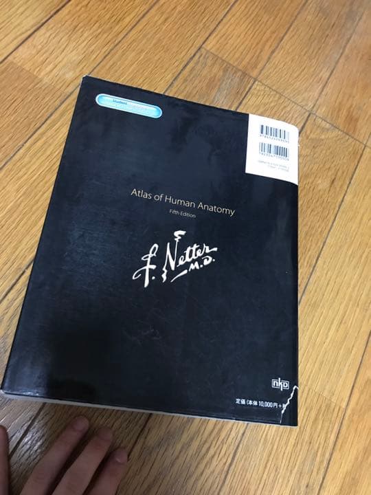 ネッター 解剖学アトラス 第5版
