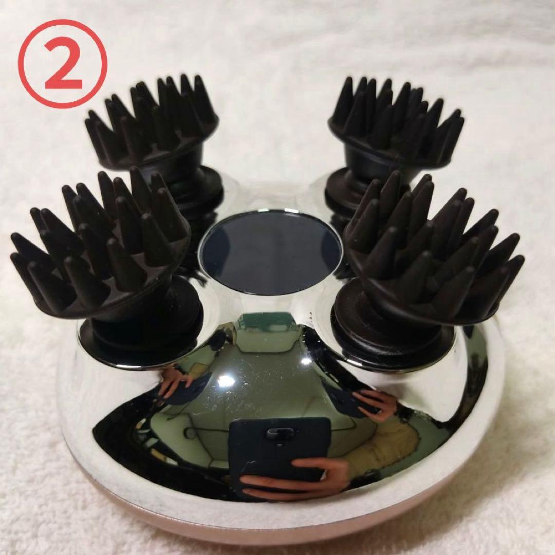 ninnico　ゾーガンキンスカルプ　２個セット