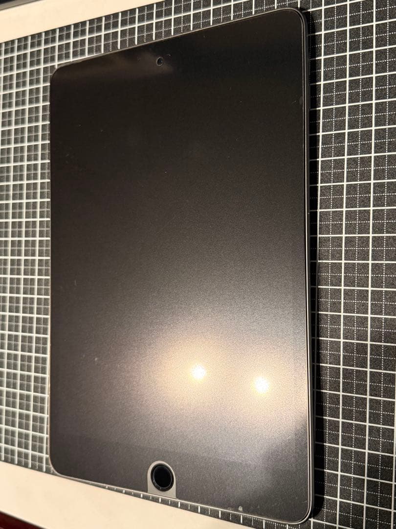 Apple iPad mini5 グレー 本体 箱付き