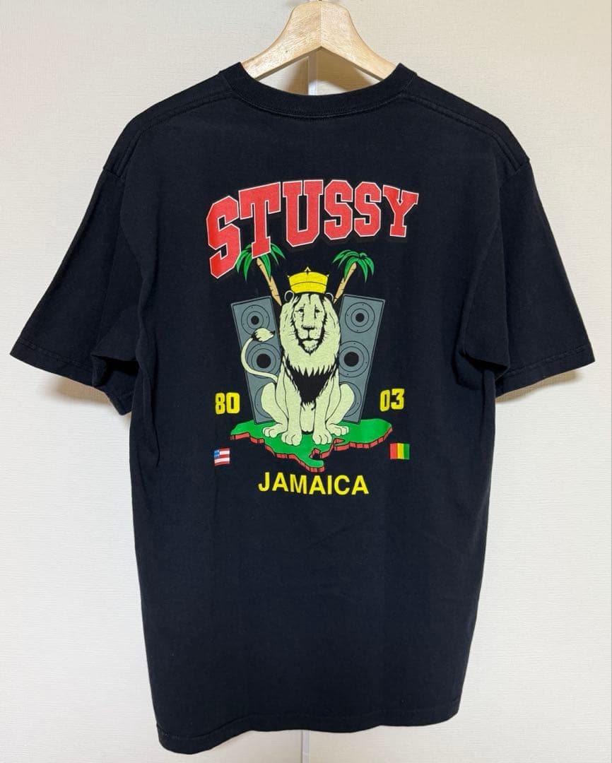 M*i様 00s old stussy 紺タグ ラスタ グラフィック Tシャツ