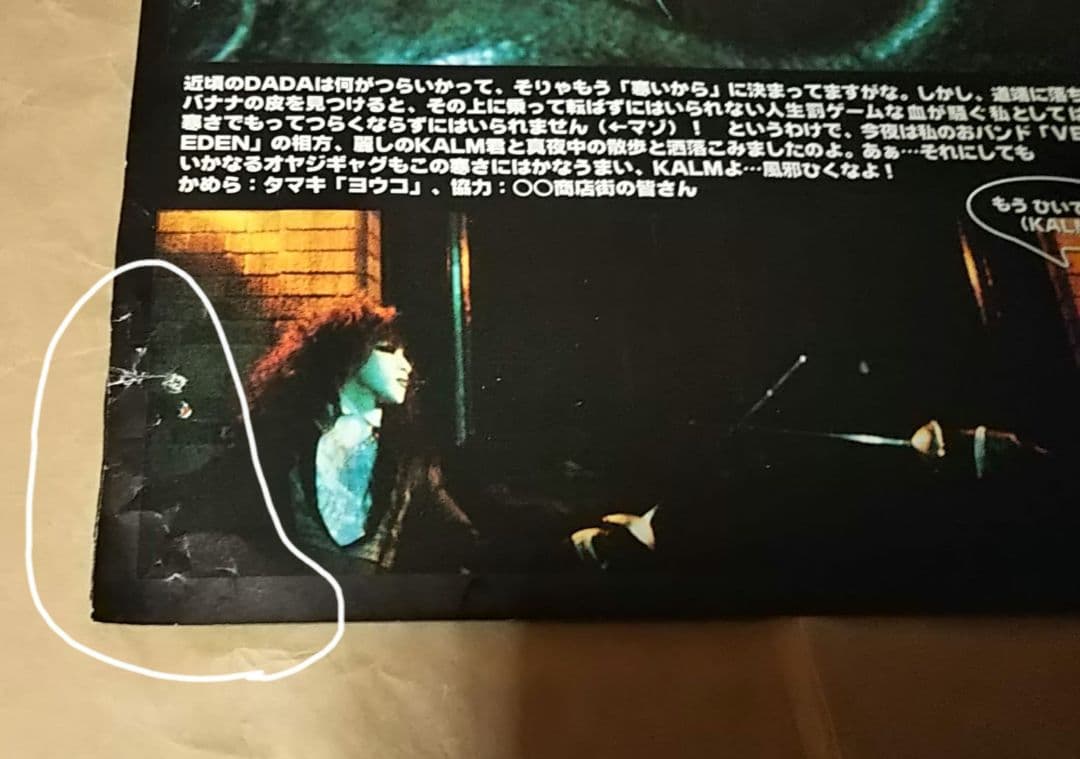 切り抜き 10枚 14ページ ベルベットエデン velvet eden DADA