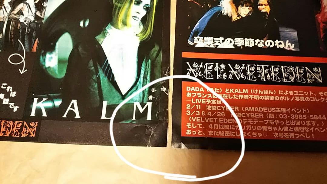 切り抜き 10枚 14ページ ベルベットエデン velvet eden DADA